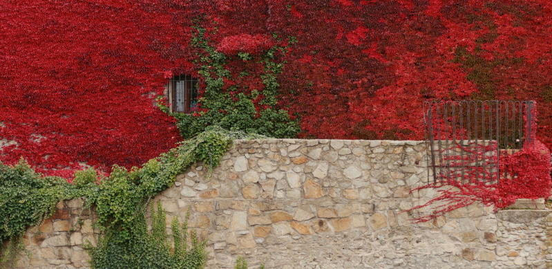 Kliknite pre zobrazenie veľkého obrázka
